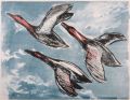 KatNr 403&nbsp;&nbsp; Erhard Hippold, Enten im Flug. Ohne Jahr.