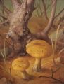KatNr 455&nbsp;&nbsp; Erich Lindenau, Waldstück mit Steinpilzen. 1947.