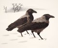 KatNr 428&nbsp;&nbsp; Aage Sikker-Hansen, Zwei Krähen im Schnee. 1. H. 20. Jh.