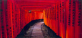 KatNr 676   Farin Urlaub, Torii (Fushimi Inari). 2009.