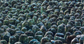 KatNr 677   Farin Urlaub "1000 Buddhas". 2012.