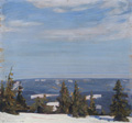 KatNr 048   Richard Birnstengel, Blick vom Arber (Bayerischer Wald). 1915.
