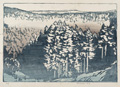 KatNr 310   Siegfried Berndt, Winterlandschaft (Erzgebirge?) / Verschneite Tannen / Verschneite Tannen. 1913 / wohl 1906/1906.