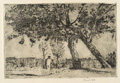 KatNr 312   Siegfried Berndt, Unter alten Obstbäumen / Schlesische Landschaft / Angler am See. 1908 / um 1912 / wohl 1910er -1920er Jahre.