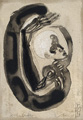 KatNr 642   Steffen Volmer "Zeichen Geste". 1997.
