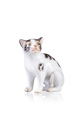 KatNr 717   Miniatur-Katze. Wohl Johann Joachim Kändler (und Mitarbeiter) für Meissen. Wohl 1750er Jahre.