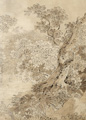 KatNr 259   Adrian Zingg (Schule), Alte Eiche. 1760er-1810er Jahre