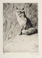 KatNr 373   Wilhelm Kuhnert, Fuchs. 1920.