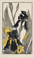 KatNr 332 Otto Eckmann "Wenn der Frühling kommt" / "Schwertlilien". Um 1895/1895.