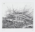 KatNr 667 Baldwin Zettl "Paysages – Mit dem Stichel durch die Landschaft". 1982.
