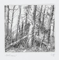 KatNr 667 Baldwin Zettl "Paysages – Mit dem Stichel durch die Landschaft". 1982.