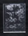 KatNr 550 Jean Kirsten, 19 Arbeiten aus "Variationen zwischen Fehldruck und Unikat". 1993– 1995.