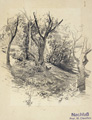 KatNr 263 Wilhelm Claudius "Dörfel" / "Arnsdorf" / Hühnerschar zwischen Bäumen. 1873– 1886.