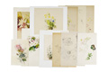 KatNr 363&nbsp;&nbsp; Arno Drescher, 11 botanische Studien. Wohl 1930er Jahre.