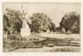KatNr 321 Walter Zeising, 13 Ansichten von Dresden. 1905–1921.