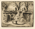 KatNr 321 Walter Zeising, 13 Ansichten von Dresden. 1905–1921.