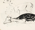 KatNr 250 Josef Hegenbarth "Zwei Greifvögel (Geier und Adler)". Um 1940.