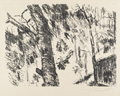 KatNr 228&nbsp;&nbsp; Lovis Corinth "Buchenwald im Gebirge". 1922.