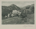KatNr 304&nbsp;&nbsp; Friedrich Iwan, Sommer an der Schneekoppe. Wohl 1920er/1930er Jahre.