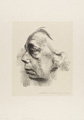 KatNr 329&nbsp;&nbsp; Käthe Kollwitz "Selbstbildnis im Profil". 1927.