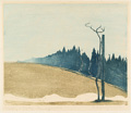 KatNr 264&nbsp;&nbsp; Erich Buchwald-Zinnwald "Vorfrühling im Erzgebirge". 1919.