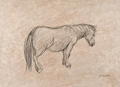KatNr 577&nbsp;&nbsp; Wilhelm Rudolph, Pony im Regen / Liegendes Kamel. Wohl 1940er/1950er Jahre.