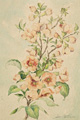 KatNr 251&nbsp;&nbsp; Otto Altenkirch, Kirschblütenzweig. Wohl um 1900.