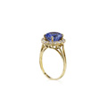 KatNr 798 Filigraner Saphir-Éntouragering (ca. 3,3 ct).