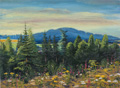 KatNr 098&nbsp;&nbsp; Erhard Zwar "Wildblumen. Motiv aus dem Isergebirge. Blick über d. Grellbusch nach dem Laubaner Hohwald zu". Um 1940.