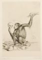 KatNr 425   Richard Müller"Encephalocranioskopie (Hirnschädelschau)". 1920.