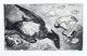 KatNr 505&nbsp;&nbsp; Erhard Hippold"Tote Wildente am Strand I"/ "Tote Wildente am Strand II". 1970/ 1971.