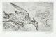 KatNr 505 Erhard Hippold"Tote Wildente am Strand I"/ "Tote Wildente am Strand II". 1970/ 1971.