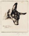 KatNr 367   Richard Müller "Mein Hund Boy". 1915.