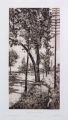KatNr 368   Richard Müller "Stübel-Allee in Dresden". 1902.