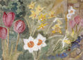 KatNr 497&nbsp;&nbsp; Gussy Hippold-Ahnert, Narzissen und Tulpen. 1979.