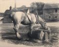 KatNr 551   Richard Müller, Pferd an der Tränke vor dem Kloster Altzella. 1937.