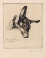KatNr 626   Richard Müller "Mein Hund Boy". 1915.