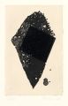 KatNr 217 Lutz Fleischer "Neue poetische Texte". 2001.