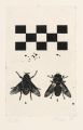 KatNr 217 Lutz Fleischer "Neue poetische Texte". 2001.