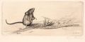 KatNr 480   Richard Müller "Maus mit Hafer". 1915.