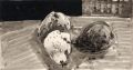 KatNr 528&nbsp;&nbsp; Erhard Hippold, Stillleben mit Birnen und Äpfeln. Wohl um 1960.