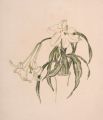 KatNr 340&nbsp;&nbsp; Arno Drescher, Weiße Calla und zwei weitere Blumendarstellungen. Um 1912.