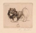 KatNr 401   Richard Müller "Pekinese" (nach links). 1922.