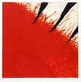 KatNr 812   Birgit Sauer, Ikon. 1997.