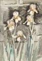 KatNr 657&nbsp;&nbsp; Erhard Hippold, Gartenstück mit Iris. Wohl 1960's.