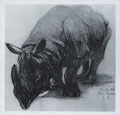 KatNr 500 Richard Müller "Neckerei" / "Krebse" / Nashorn. 1902/ 1909/ 1899.
