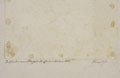 KatNr 190 Johann Christian Klengel, Wiesenstudie mit Salbei, Löwenzahn, Kamille, Schafgarbe und Wiesenklee. Um 1800.