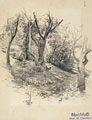 KatNr 4 Wilhelm Claudius "Dörfel" / "Arnsdorf" / Hühnerschar zwischen Bäumen. 1873– 1886.