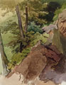 KatNr 041   Heinrich Woldemar Rau, Partie im Plauenschen Grund. 1880.