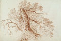 KatNr 017   Carl Anton Graff, Baumstudie. 1796.